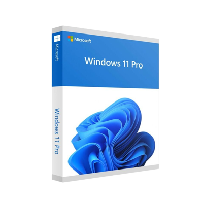 Microsoft Win 11 Pro 64Bit French 1pk DSP OEI DVD