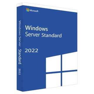 Microsoft Windows Svr Std 2022 64Bit French 1pk DS